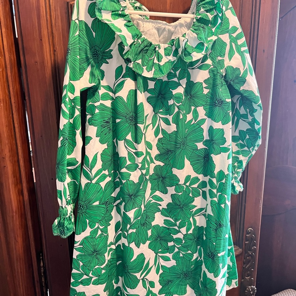 Crewcuts Green Floral Long Sleeve Dress